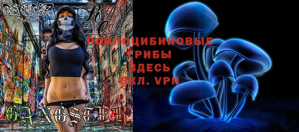 сатива Армянск